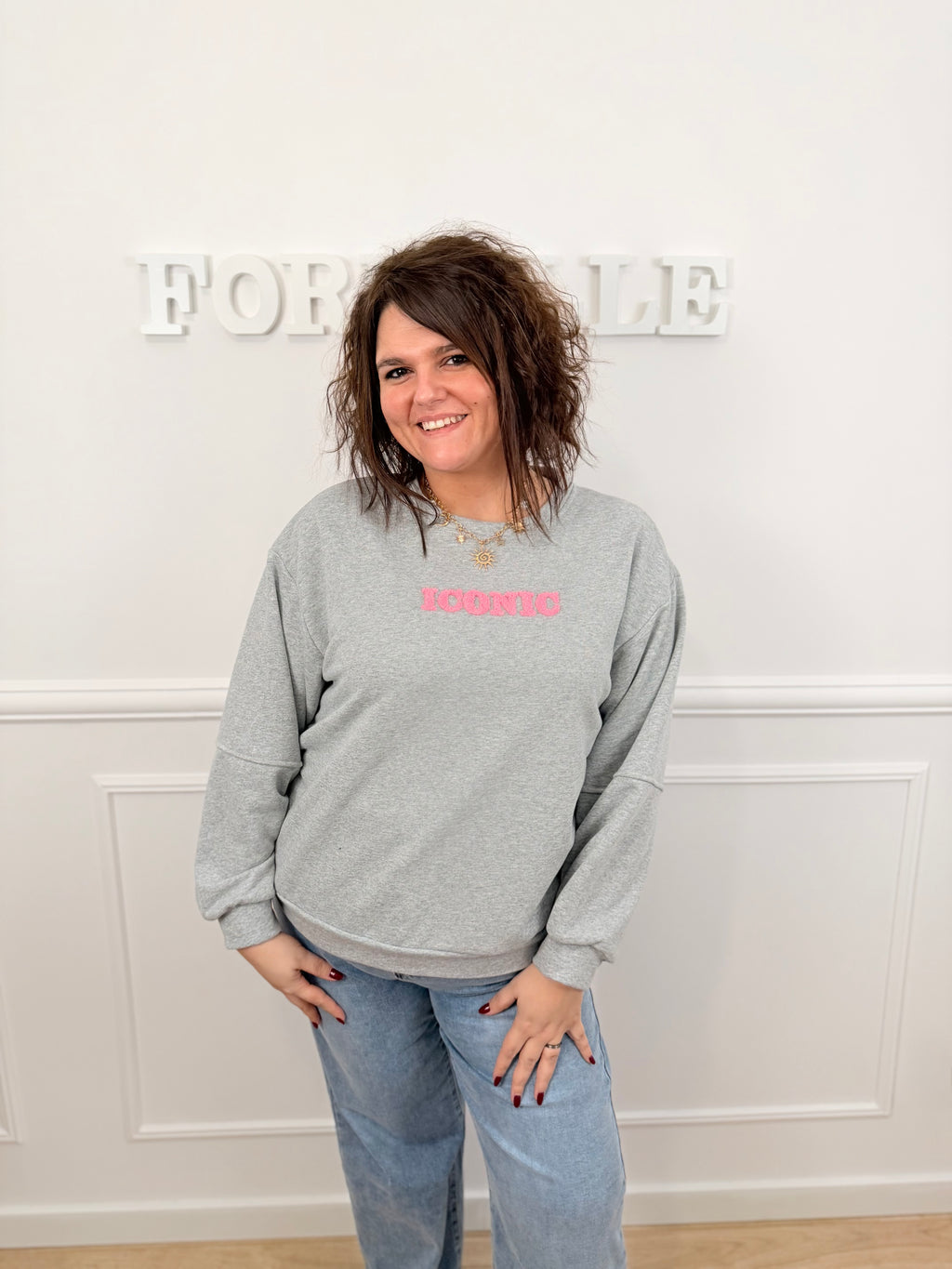 Pull Iconic gris